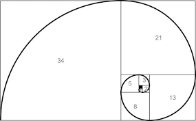 Espiral de Fibonachi