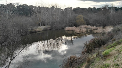 El Pardo, Manzanares, excursión, guía, Parques periurbanos.