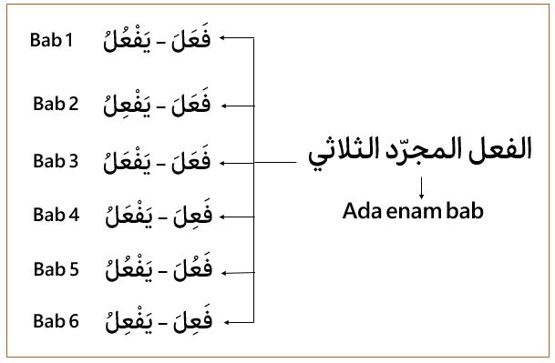 6 bab wazan fiil tsulatsi mujarrad