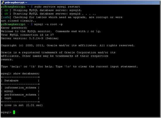 Mysql database on Raspberry Pi 