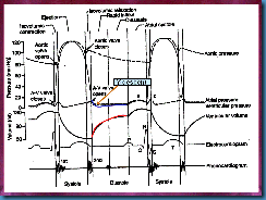 Slide11