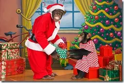 MONOS NAVIDAD, MACACOS, CHIMPANCES BUSCOIMAGENES COM (14)