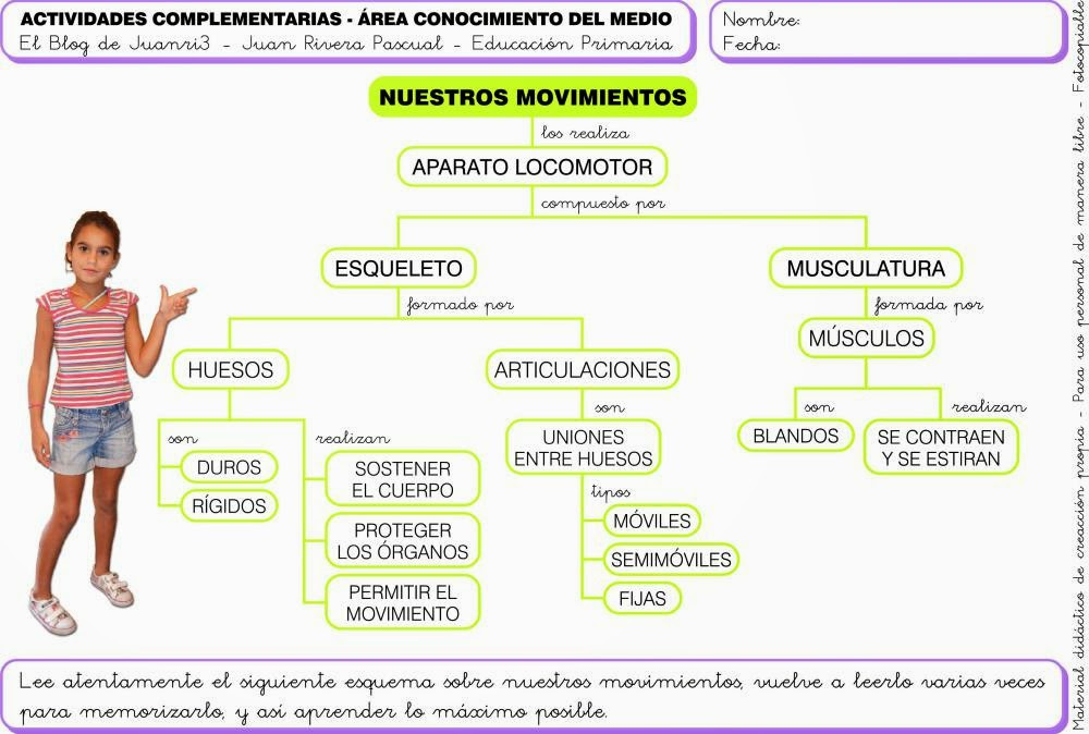 http://juanri3.wordpress.com/educacion-primaria/3-y-4-de-educacion-primaria/3o-educacion-primaria/conocimiento-del-medio/tema-4-nuestros-movimientos/