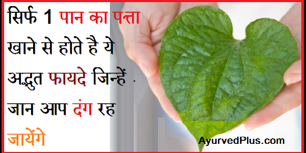 सिर्फ 1 पान का पत्ता खाने से होते है ये 20 अद्भुत फायदे जिन्हें जान आप दंग रह जायेंगे