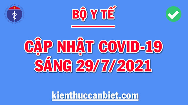 Covid Hôm Nay, Cập Nhật Covid Hôm Nay, Covid Tp HCM, Covid Hà Nội