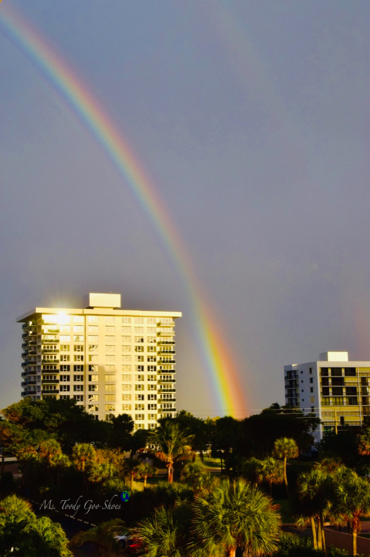 Rainbow in Florida | Ms. Toody Goo Shoes