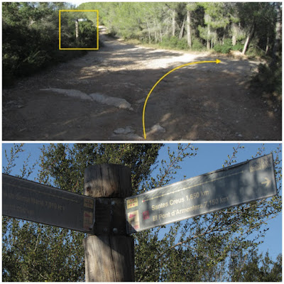 Prenafeta a Santes Creus GR-175 Ruta del Cister, camí de les Planes al Pont, sobre el Monestir de Santes Creus