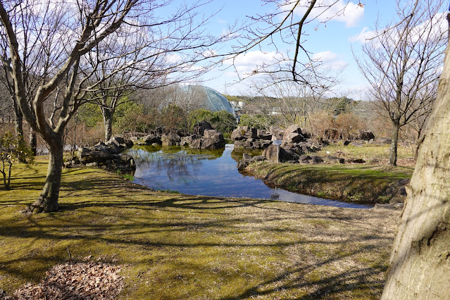 鳥取県西伯郡南部町鶴田 とっとり花回廊 花の丘