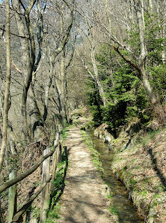 Kuenser Waalweg im Frühling