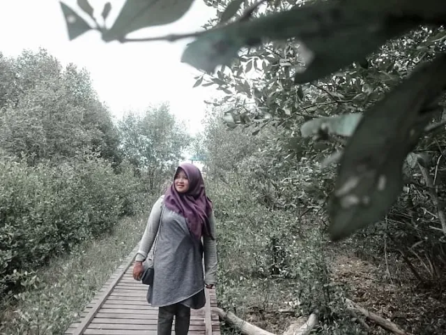 Hutan Mangrove pagatan besar