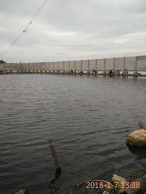 Tempat Mancing Ikan Bandeng Gratis Di Marunda Jakarta Utara