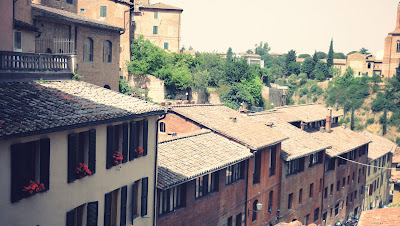 Houses shutters flower pots in San Gimingnano