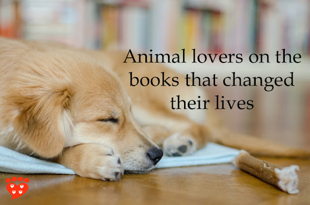 Animal lovers on the books that changed their lives, illustrated by a Golden Retriever sleeping in front of a bookshelf