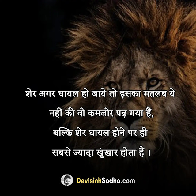 lion quotes in hindi, lion attitude status for whatsapp, बब्बर शेर स्टेटस इन हिंदी, शेर शेर होता है स्टेटस, शेर पर शायरी, शेर व्यक्ति के लिए स्टेटस, दहाड़ता शेर स्टेटस, शेर और गीदड़ की शायरी, घायल शेर पर शायरी, जंगली शेर पर शायरी