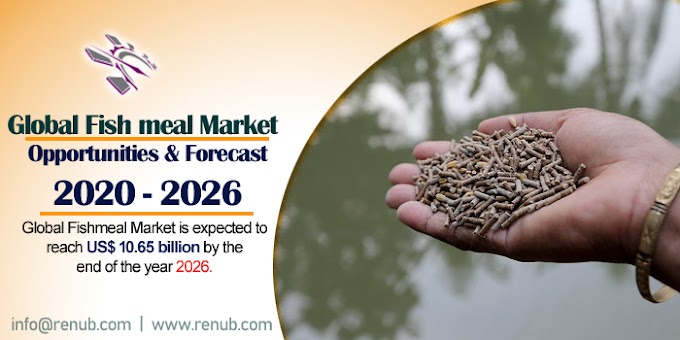 Fish Meal Market and Volume, Global Forecast by species & End-User - Renub Research