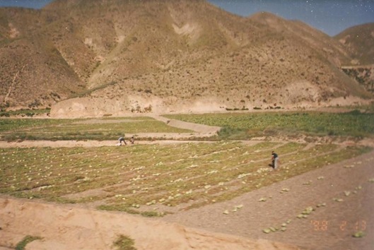 lanzhou05