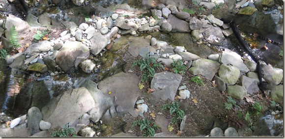 stream