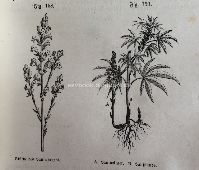 Das Buch der Natur, Schoedler, Friedrich, 1886,  Die Lehren der Physik, Astronomie, Chimie, Mineralogie, Geologie, Botanik, Zoologie und Physiologie