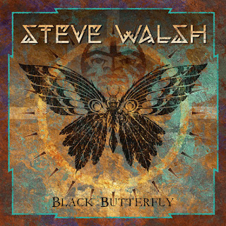 download MP3 Steve Walsh - Black Butterfly iTunes Plus aac m4a mp3