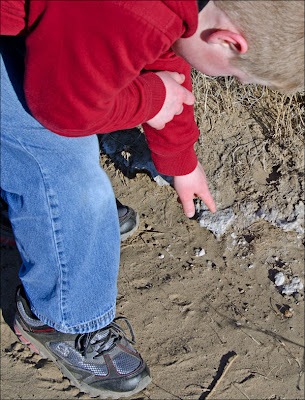 Mount St. Helens ash layer in Columbia Basin.