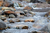 Alpine Stream - Photo by Jeremy Bezanger on Unsplash