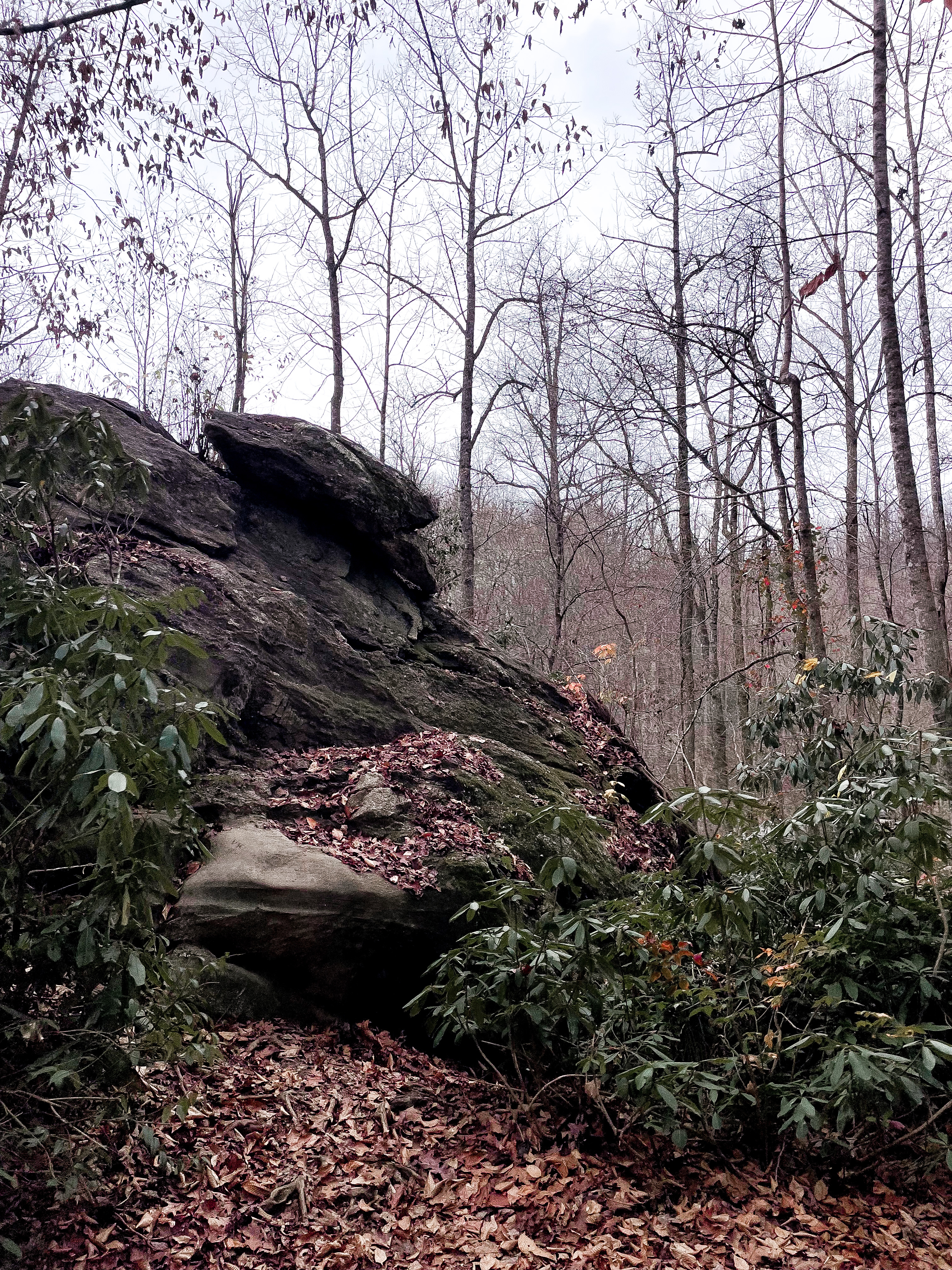 Moore Cove Falls Trail, NC