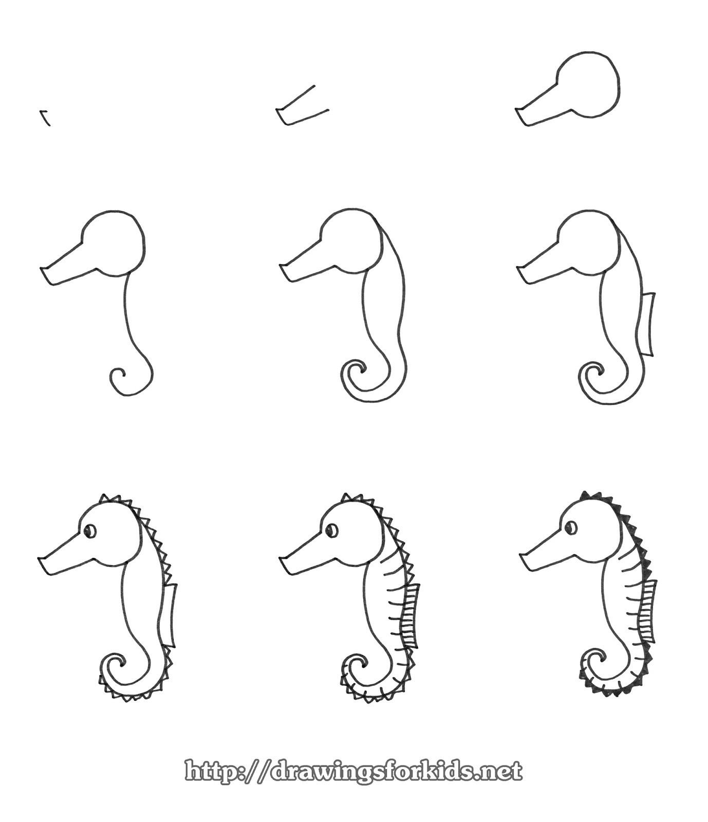 How to draw a Seahorses for kids - drawingsforkids.net