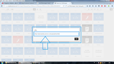 Deface Website Metode Responsive File Manager | File Upload Vulnerability