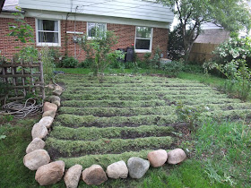 till and mulch backyard garden, prepare to plant