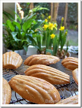 fausses madeleines orange noisette3