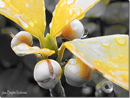 pm_20120923_yellow