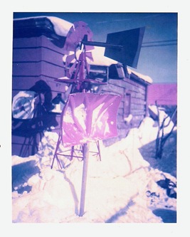 snowEDIT