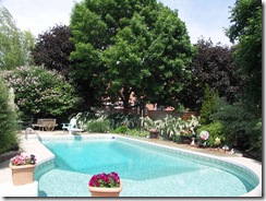 Backyard 2011