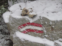 snijeg Gažul Vidova gora slike otok Brač Online