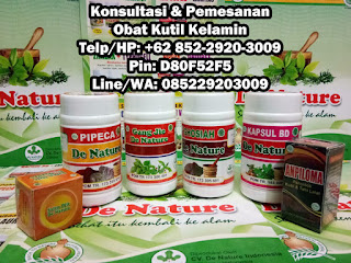 Obat Kutil Kelamin