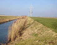 Foto persbericht Bodemverbetering door maaisel?