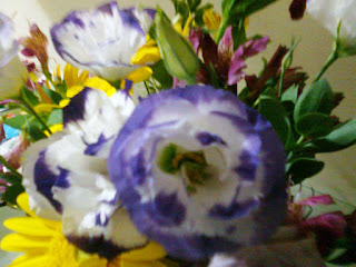 Flores que passaram pela minha casa, pela minha vida, como estes jovens que agora são frutos...Conceição Pinheiro