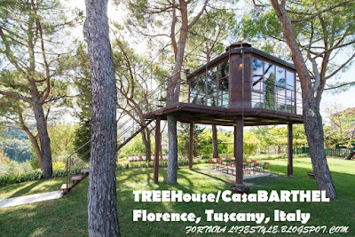 <img src="TREE House.jpg" alt=" TREE House & Casa BARTHEL Florence Tuscany Italy ">