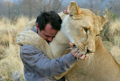 Kevin Richardson Swimming With lions