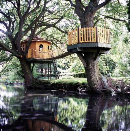 Home Styles: Tree houses style & design