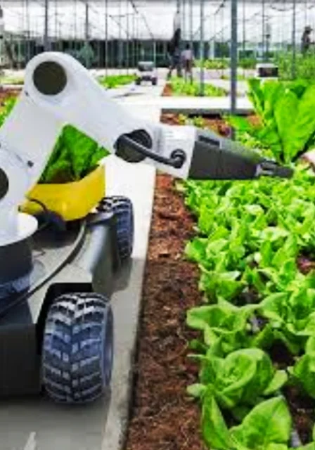 Key Players Company in Japan's Agritech Industry