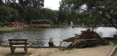 Swan Pond, Jipiro Park, Loja Ecuador