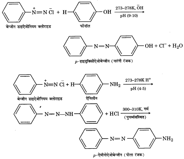 Solutions Class 12 रसायन विज्ञान-II Chapter-5 (ऐमीन)