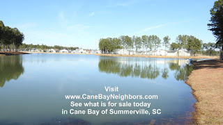 Late in the coves at cane bay