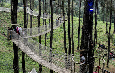 Wisata Instagramable Orchid Forest