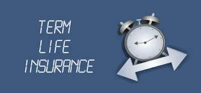 Term Life Insurance Definition - Ratinah