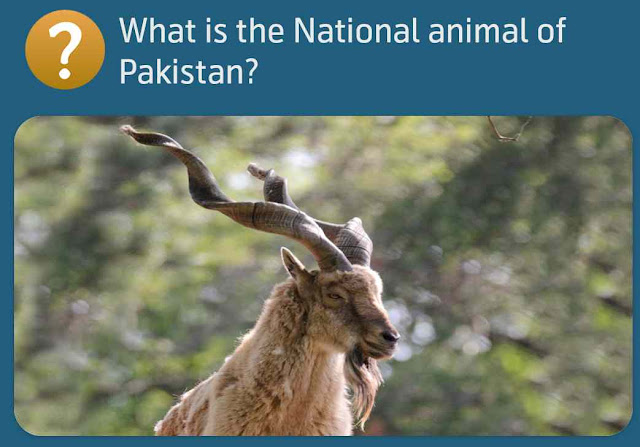 What is the National animal of Pakistan?