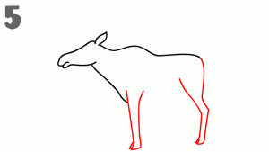 كيفية رسم حيوان الموظ