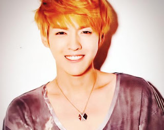 Biodata Profil Kris EXO