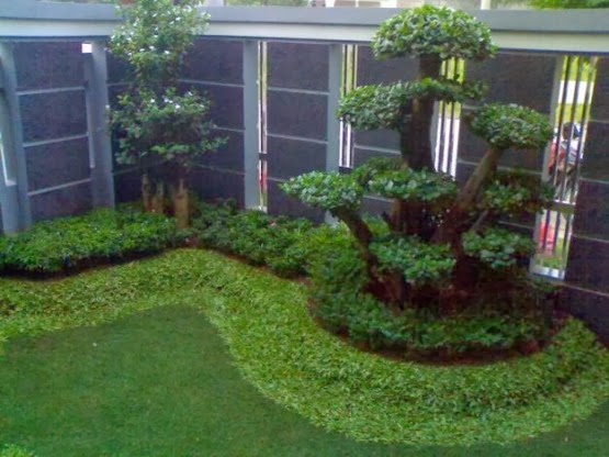  Desain  Taman  di  Halaman Belakang  Rumah  Minimalis  Desain  